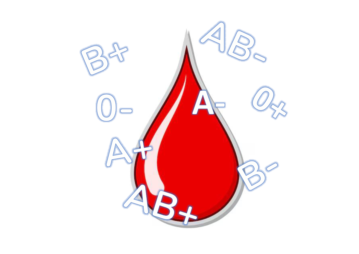 Čestitka za Dan darivatelja krvi - 25.10.2025.